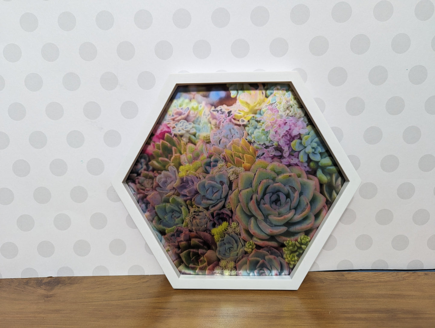Wall Art - Hexagon Succulent Mirror