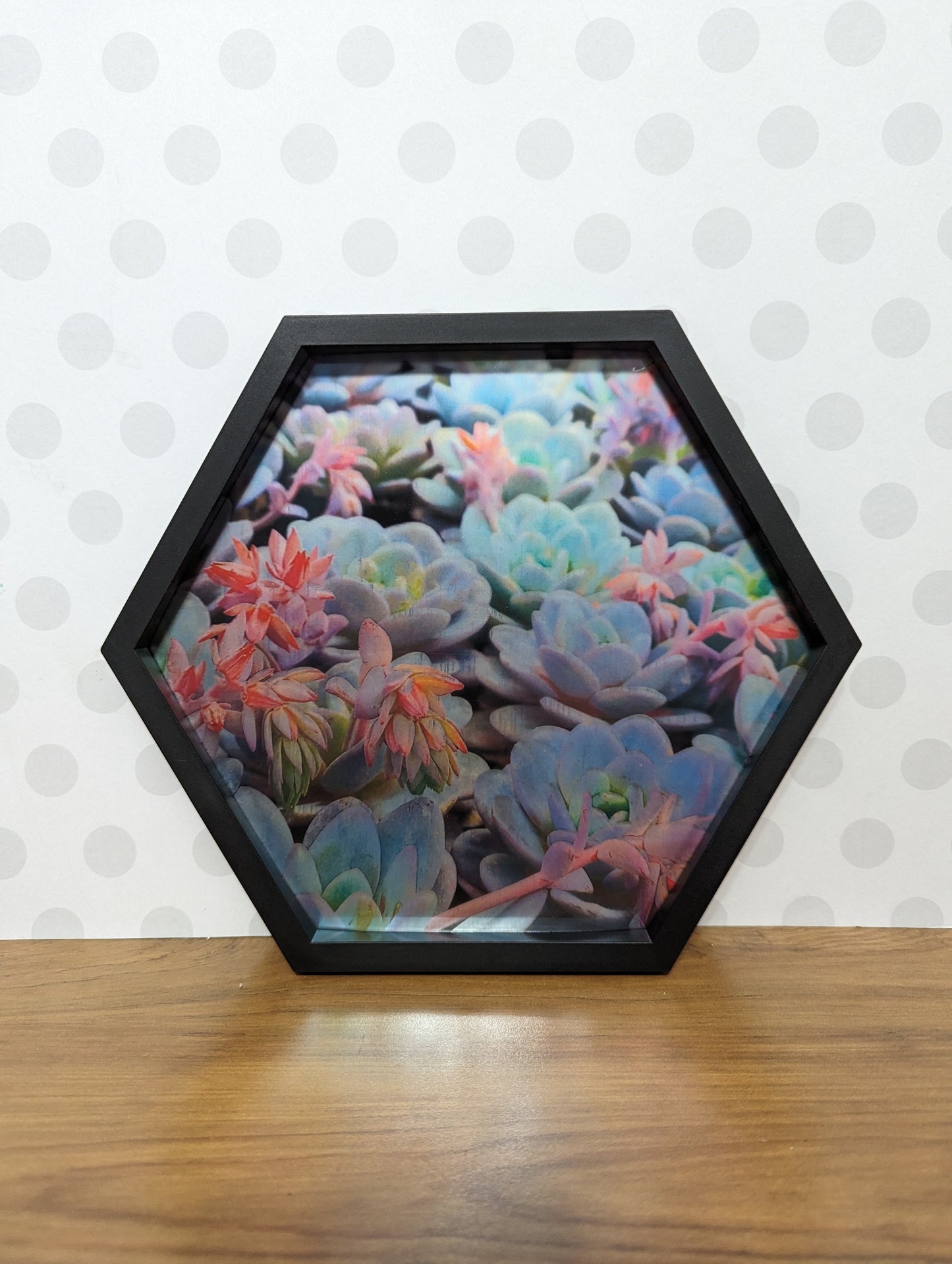 Wall Art - Hexagon Succulent Mirror