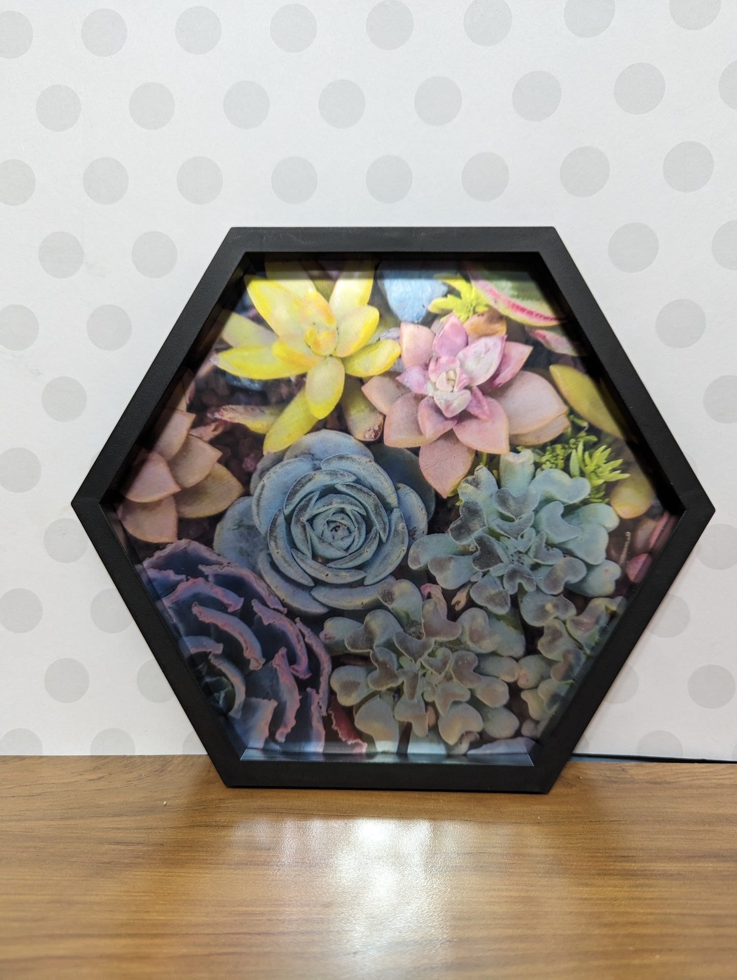 Wall Art - Hexagon Succulent Mirror