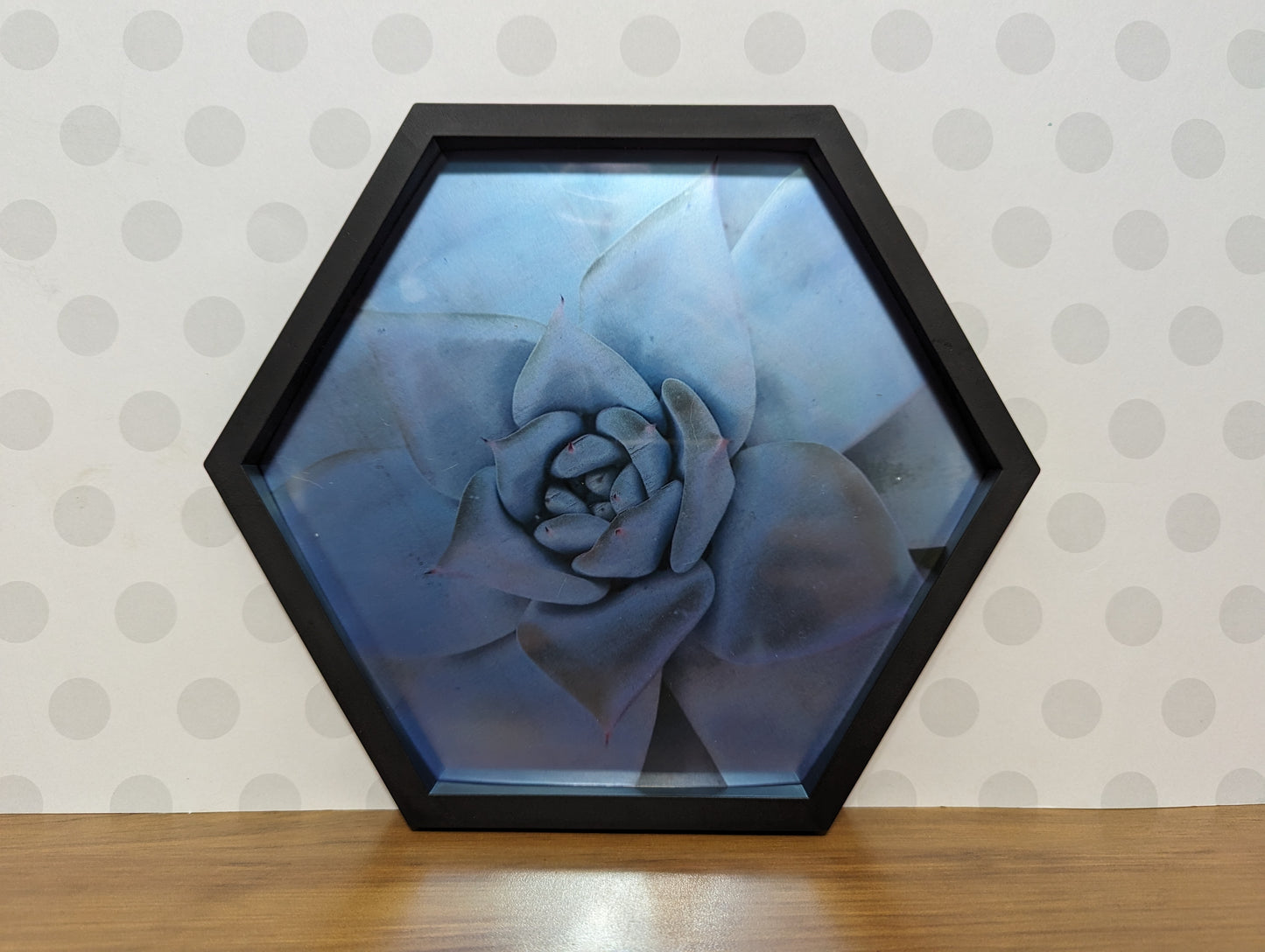 Wall Art - Hexagon Succulent Mirror