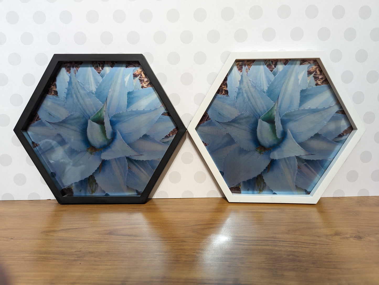 Wall Art - Hexagon Succulent Mirror