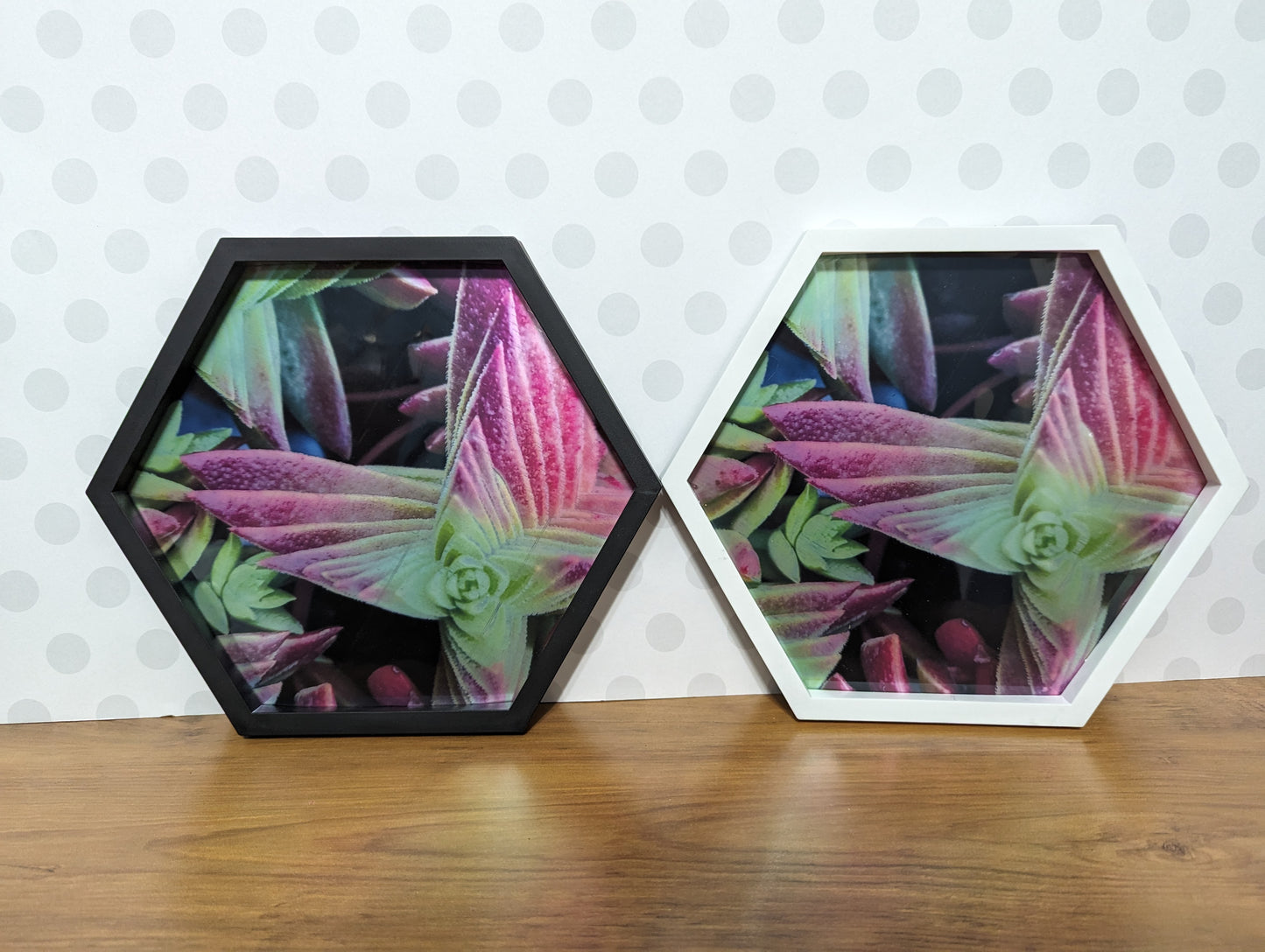 Wall Art - Hexagon Succulent Mirror