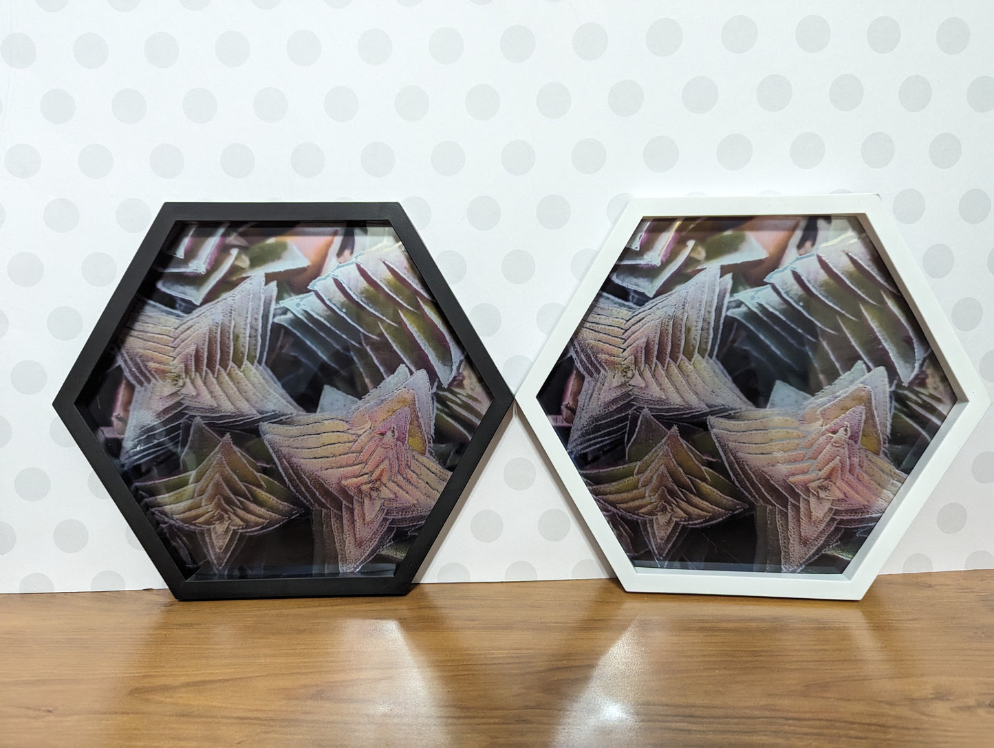 Wall Art - Hexagon Succulent Mirror