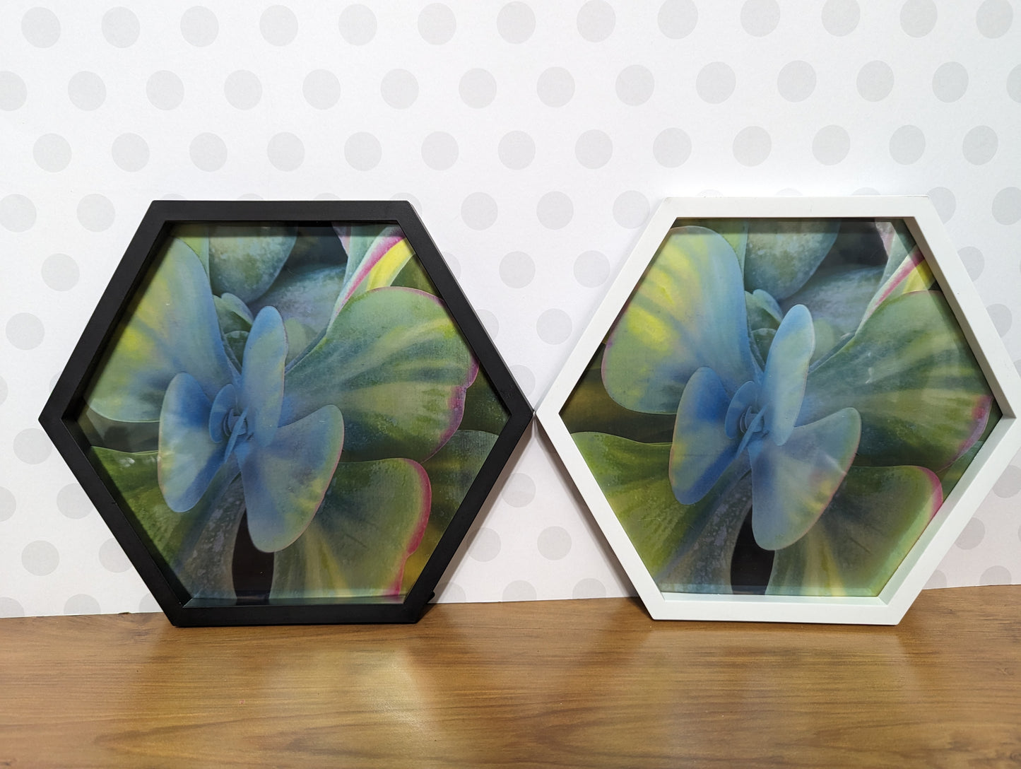 Wall Art - Hexagon Succulent Mirror
