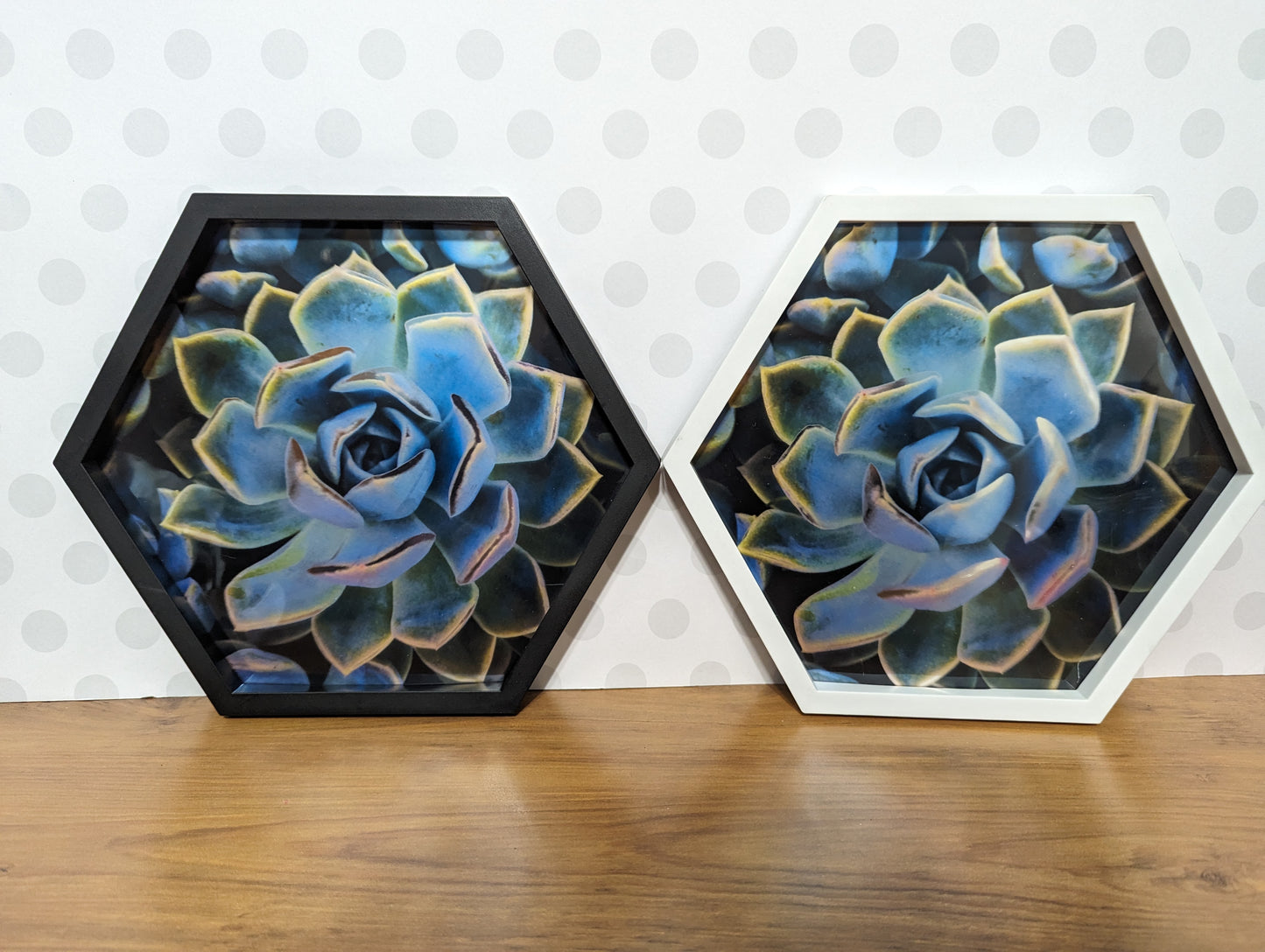 Wall Art - Hexagon Succulent Mirror