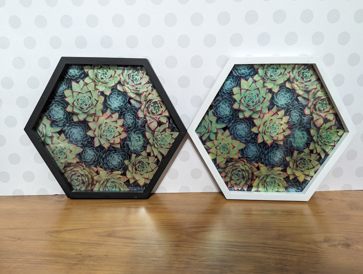 Wall Art - Hexagon Succulent Mirror