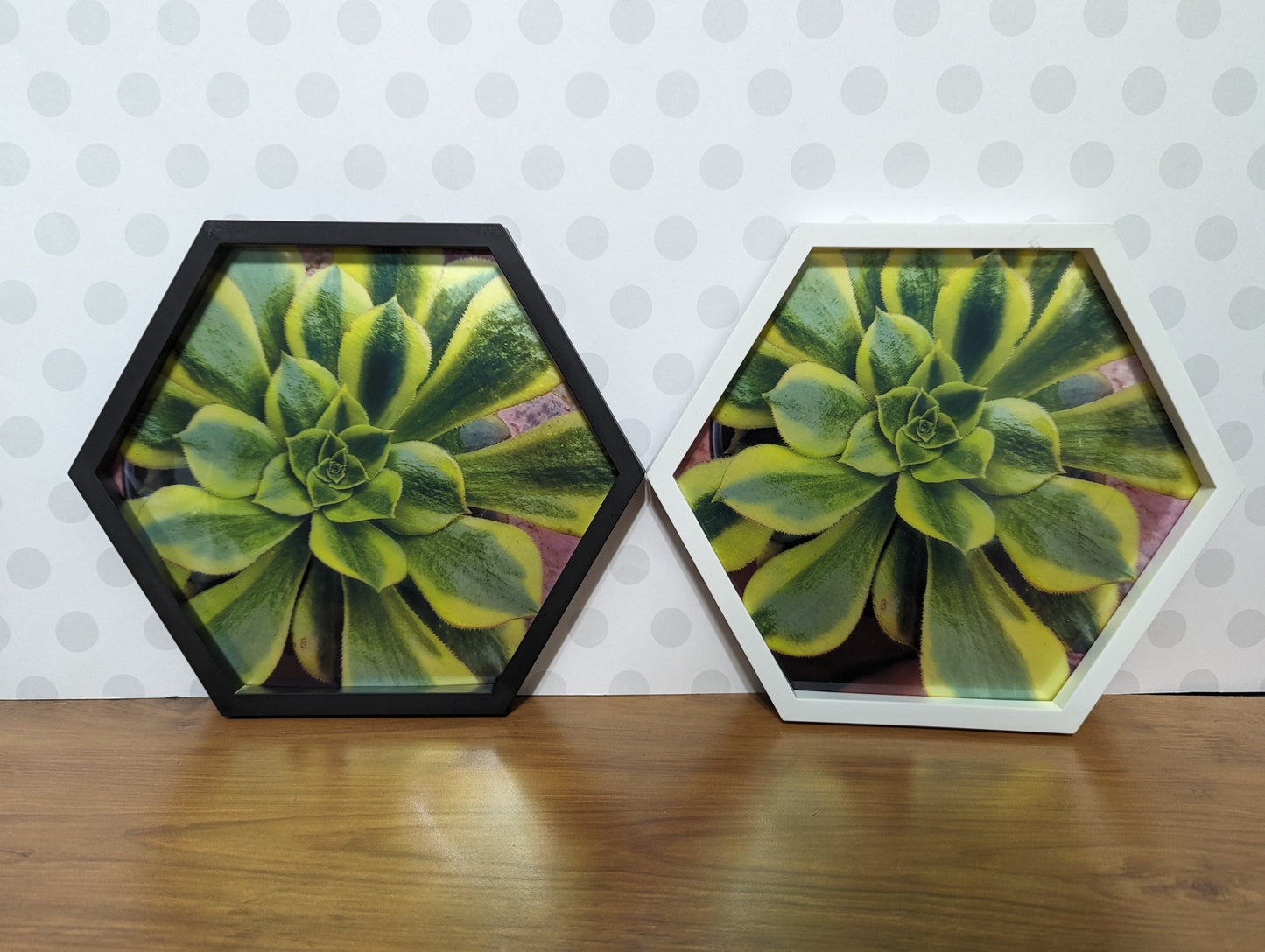 Wall Art - Hexagon Succulent Mirror