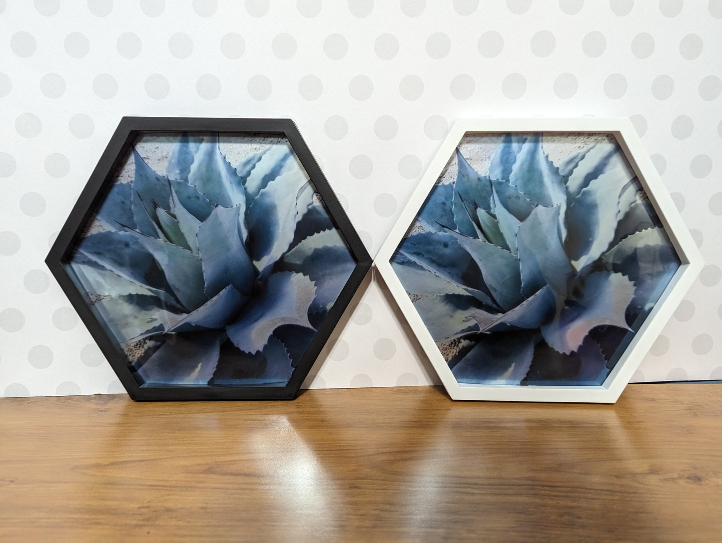 Wall Art - Hexagon Succulent Mirror