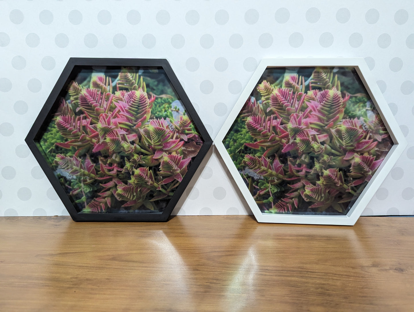 Wall Art - Hexagon Succulent Mirror