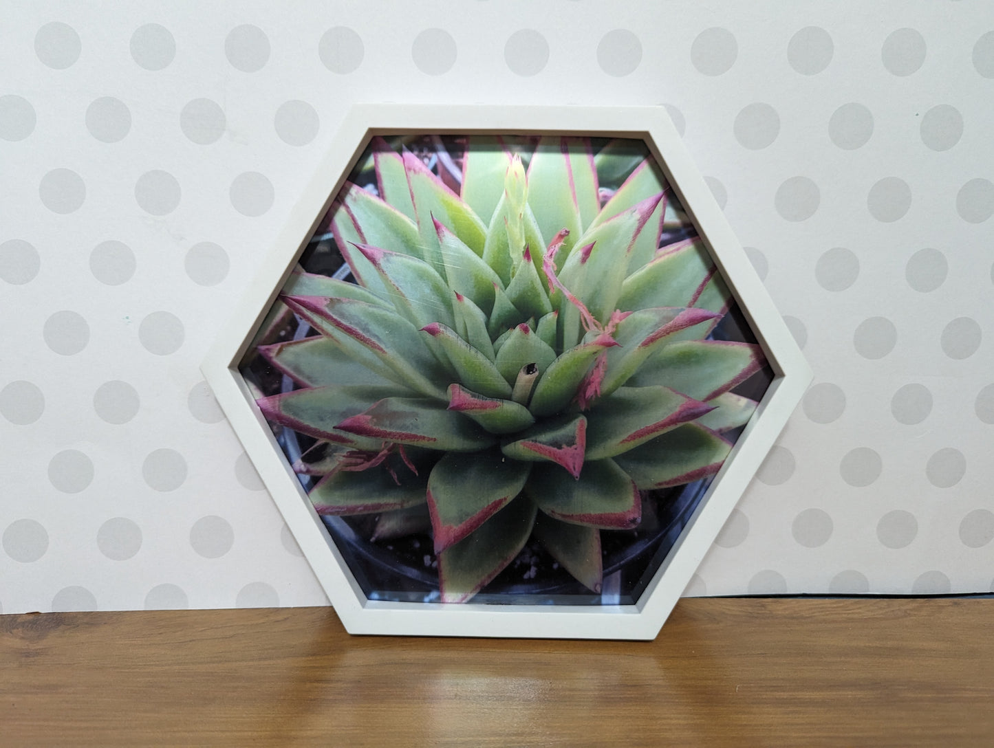 Wall Art - Hexagon Succulent Mirror