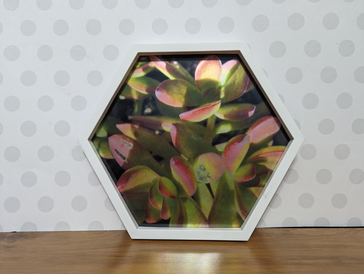 Wall Art - Hexagon Succulent Mirror